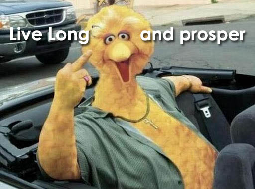 Bird giving the bird blessing.jpg