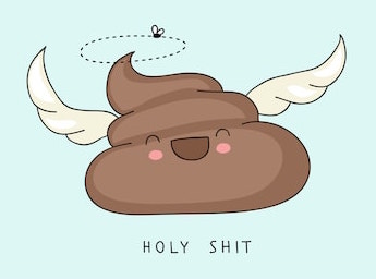 holy-shit.jpg